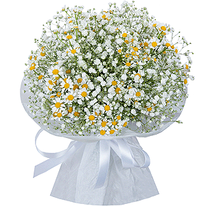 Gypsophila - 8, Chamomile - 7, Ribbon, Wrapping Paper