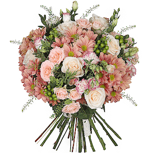 Harmony (Deluxe) with delivery Kerch