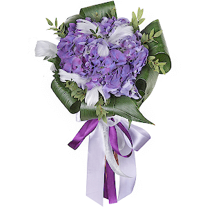 Exquisite Hydrangea with delivery Kerch