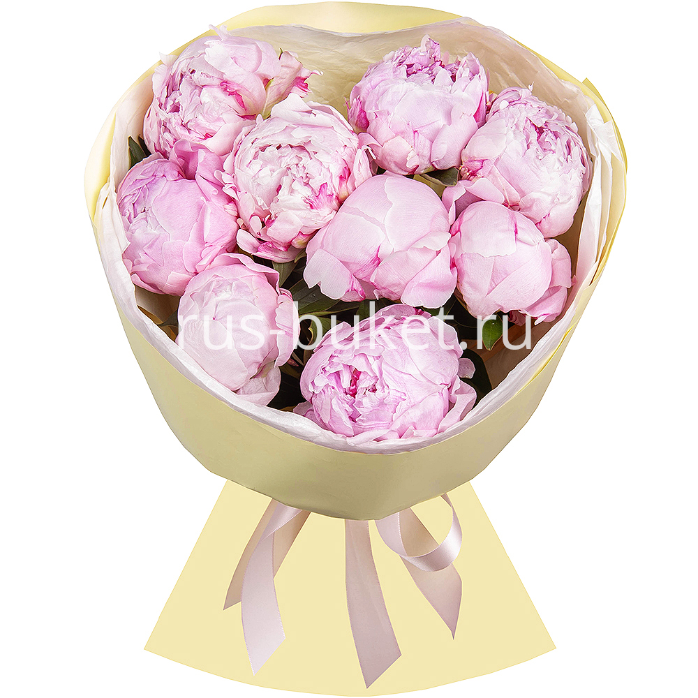Bouquet of 9 tender peonies with delivery Kerch