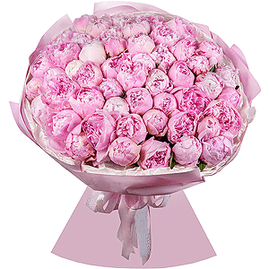 Peony pink - 51, Wrapping Paper