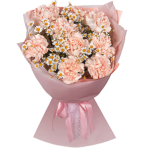 Chamomile Tenderness with delivery Kerch