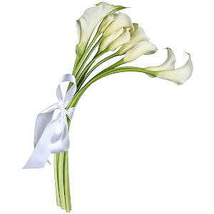 Calla lilies - 9, Ribbon
