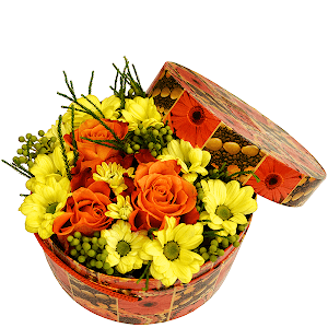 Sun Ray with delivery Kerch