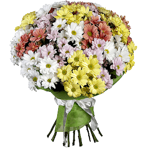 21 Daisy poms with delivery Kerch