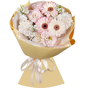 Joy of Life with delivery Kerch