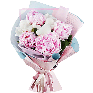 Peony pink - 6, Peony white - 5, Wrapping Paper