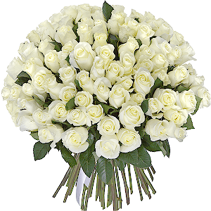 75 White roses with delivery Kerch