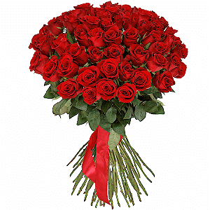 51 premium red roses with delivery Kerch