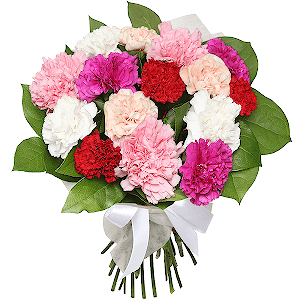 Carnations - 15, Wrapping Paper, Ribbon, Salal