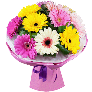 Playful gerberas with delivery Kerch