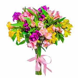 11 Alstroemerias with delivery Kerch
