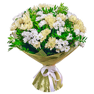 15 Daisies (Deluxe) with delivery Kerch