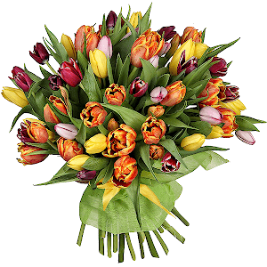 Orange tulip - 28, Red tulip - 20, Yellow tulip - 13, Pink tulip - 6, Felt, Ribbon