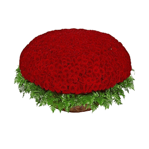 1001 Red roses with delivery Kerch
