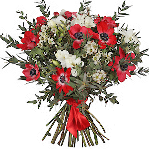 Exotic Anemones with delivery Kerch