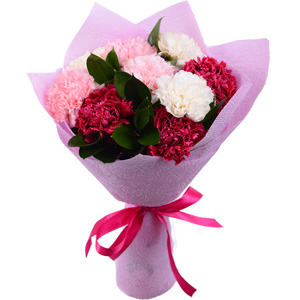 Carnations (9 pc.) with delivery Kerch