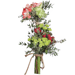 Red amaryllis - 3, Spray peony rose  - 5, Athos pom Feeling Green - 3, Echeveria small, Eucalyptus parvifolia (1 pc.), String 1 meter