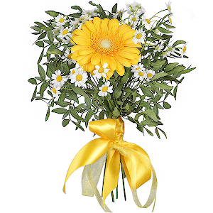 Gerbera yellow - 3, Chamomile - 5, Pistachio, Ribbon