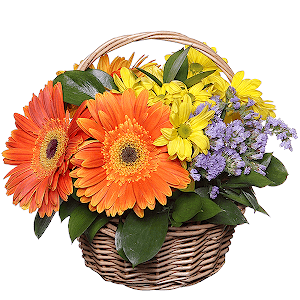Blossoming Meadow with delivery Kerch
