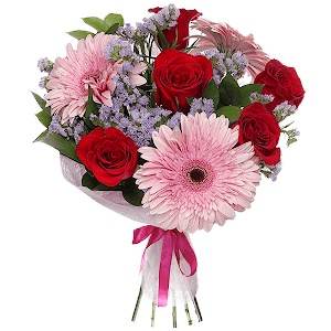 Soft Kiss with delivery Kerch