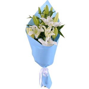 Arrangement of 3 white lilies with delivery Kerch