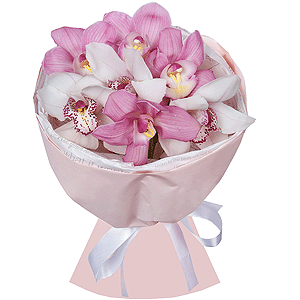 Arrangement of 7 orchids with delivery Kerch