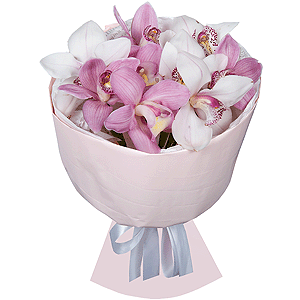 Arrangement of 9 orchids with delivery Kerch