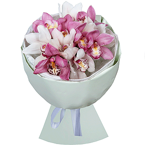 Arrangement of 11 orchids with delivery Kerch