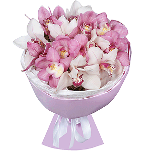 Arrangement of 15 orchids with delivery Kerch
