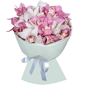 Arrangement of 21 orchids with delivery Kerch