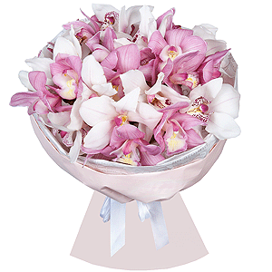 Arrangement of 25 orchids with delivery Kerch