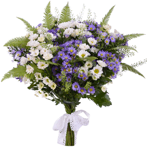 Starry Sky with delivery Kerch