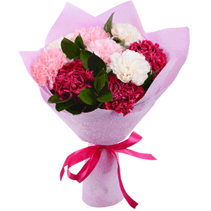 Arrangement of 9 carnations with delivery Kerch