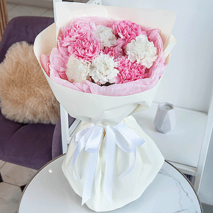 Carnations (11 pc.) with delivery Kerch