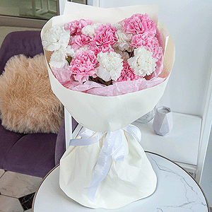 Carnations (19 pc.) with delivery Kerch
