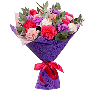 Carnations (21 pc.) with delivery Kerch