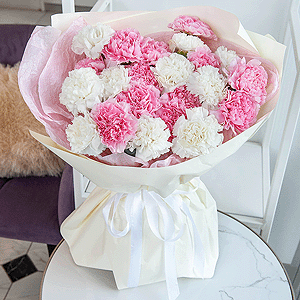 Carnations (25 pc.) with delivery Kerch