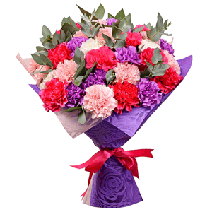 Carnations (35 pc.) with delivery Kerch
