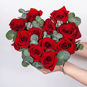 Scarlet Edges with delivery Kerch