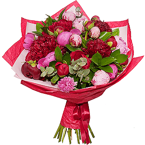Peonies - 25, Ruscus, Eucalyptus Cinerea, Wrapping Paper, Film, Ribbon
