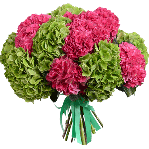 Aloha with delivery Kerch