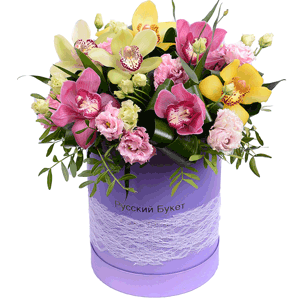 Pink Cymbidium Orchid Bud - 4, Pink Lisianthus (Eustoma) - 7, Orchid bud yellow/brown Cymbidium - 3, Green Cymbidium Orchid Bud - 3, Round flower box medium, Oasis, Aspidistra (1 pc.), Flask for orchids, Pistachio, Ribbon