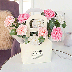 Pink carnation - 4, Carnation white, cream - 7, Flower bag, Oasis, Eucalyptus