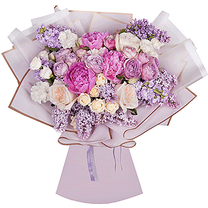 Сolor inspiration with delivery Kerch