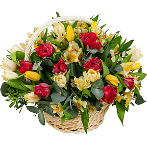 Spring swallow with delivery Kerch