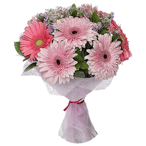 Pink Dream with delivery Kerch