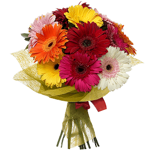 Splash of Emotions with delivery Kerch