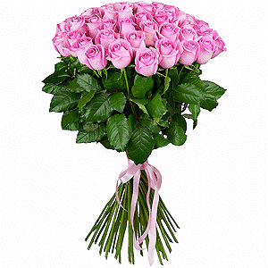51 premium pink roses arrangement with delivery Kerch