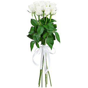 9 premium white roses arrangement with delivery Kerch